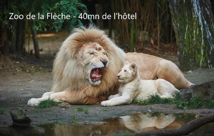 Hotel-Restaurant Ricordeau Loué Eksteriør bilde
